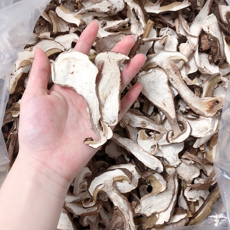 美味牛肝菌  又称大脚菇、白牛肝菌
