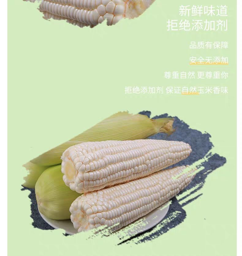 【坏了包赔】水果玉米新鲜玉米现摘农家玉米棒新鲜现摘