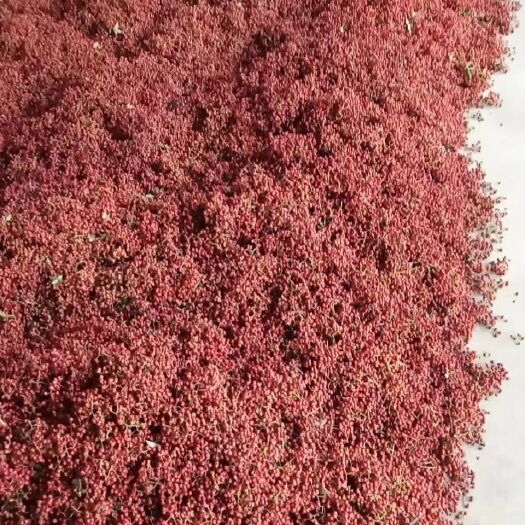 白水县红花椒  自家花椒，需要花椒的联系