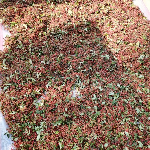 济南 自家种植，莱芜花椒