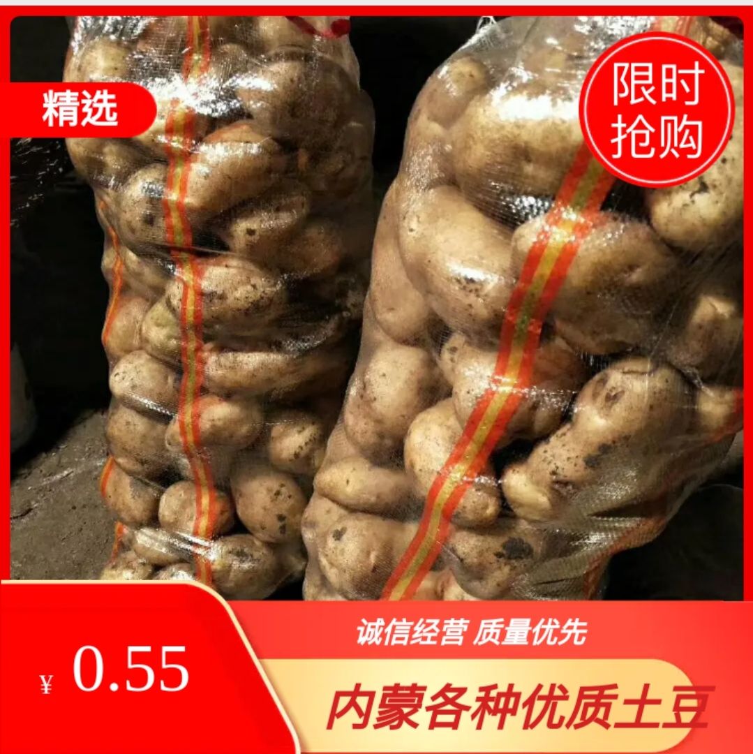 荷兰806  黄皮黄心土豆，质优价廉