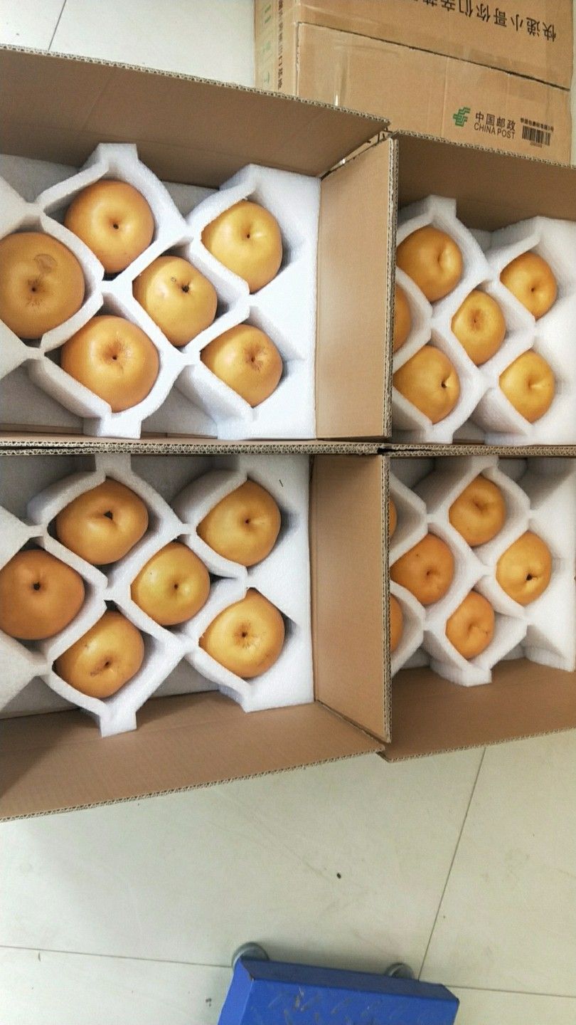  金秋梨