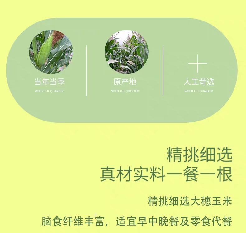 【坏了包赔】水果玉米新鲜玉米现摘农家玉米棒新鲜现摘