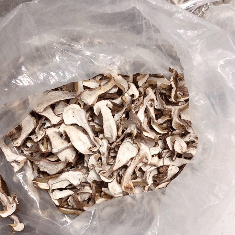 美味牛肝菌  又称大脚菇、白牛肝菌