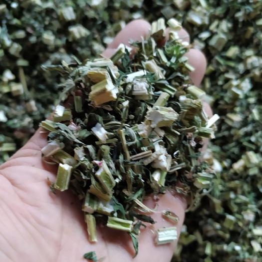 亳州益母草