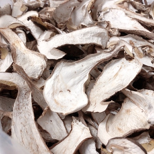 汉阴县美味牛肝菌  又称大脚菇、白牛肝菌