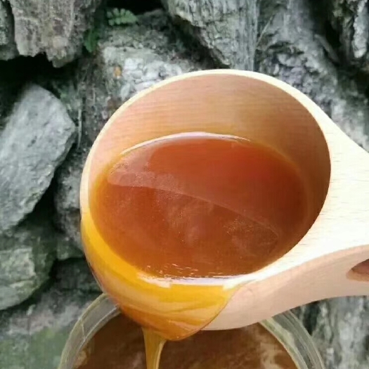 温州 【热卖中】土蜂蜜蜂场直供一件代发不纯包退
