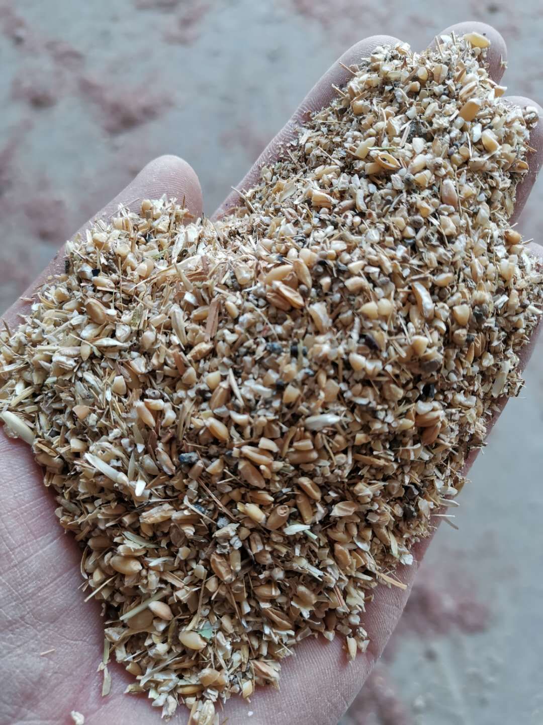  碎小麦下脚料。草籽卖下脚料