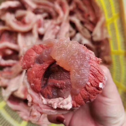 阳信县牛筋  腱巴筋！样品不退不换