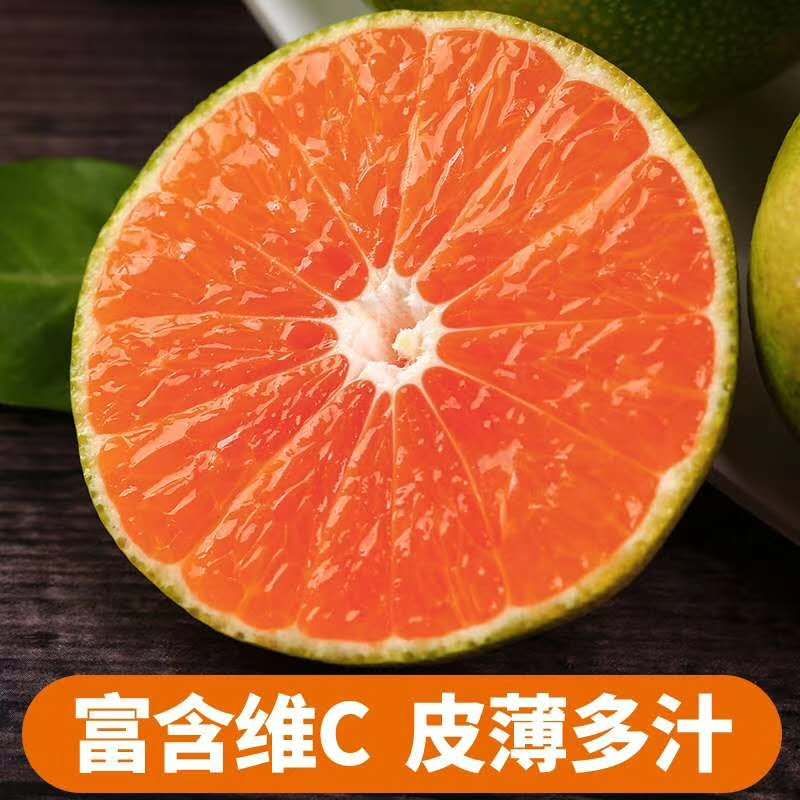 蜜桔  云南蜜橘大量代购代销