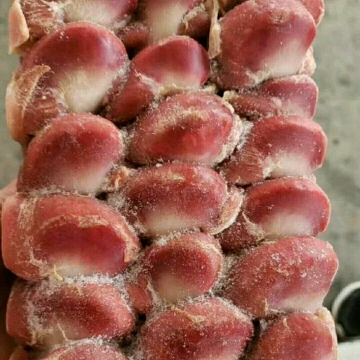 沂南县 排版鸭胗，干货，每板21-24个