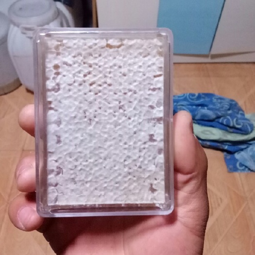 建昌县土蜂蜜 自家产的蜂巢蜜纯正