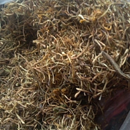 金银花 色青花 统货 叶少开花少