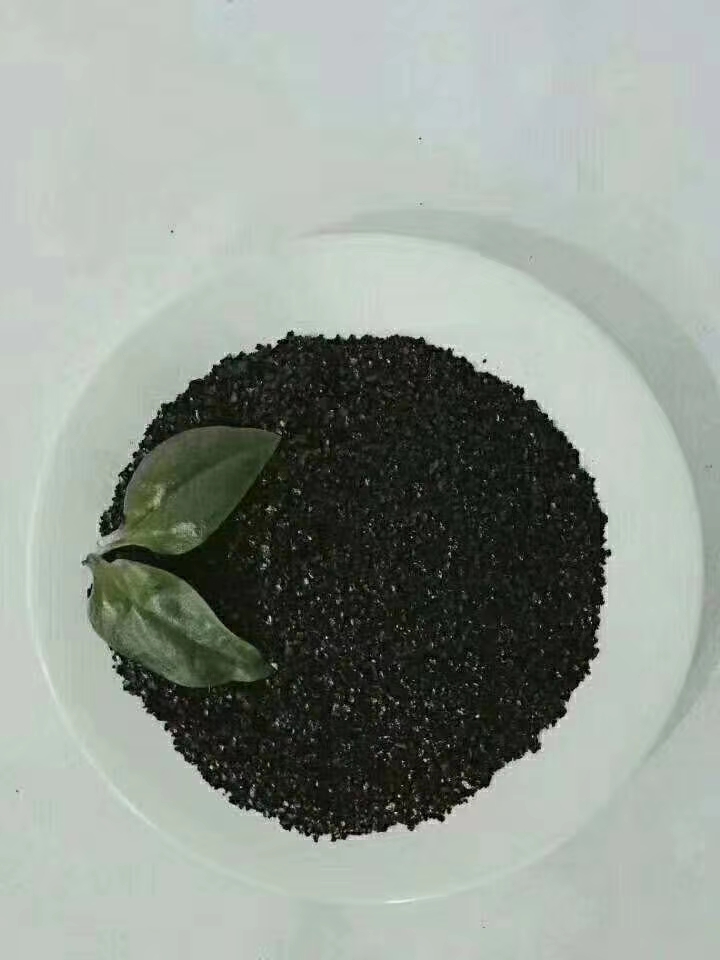 20KG矿源黄腐酸钾
