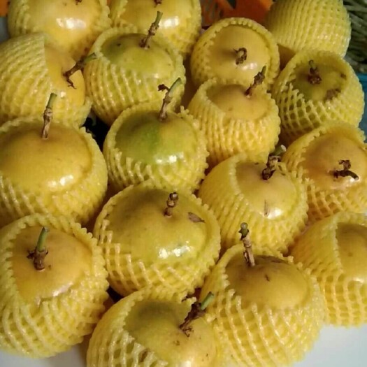 玉林 广西黄金百香果高甜品质饱含大量维生素孕妇水果吃过定回头