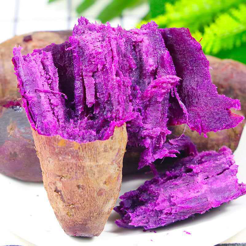 沙地紫薯紫罗兰新鲜蔬菜地瓜番薯粉糯香甜2斤/5斤10斤