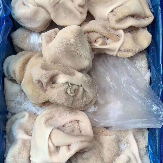 贵阳免洗.羊肚