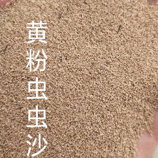 石家庄糠麸饲料 出饲料用，肥料用黄粉虫虫沙