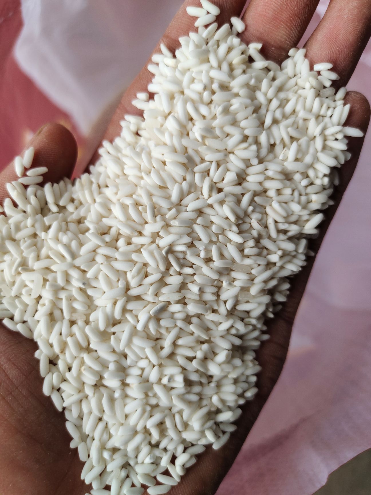 2024年新糯米 长糯米 小粒糯米    质量好价格美丽