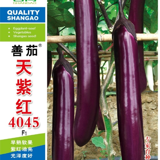 樟树市 【善茄天紫红4045】一代杂交茄子种子紫红长棒型长茄早熟软果