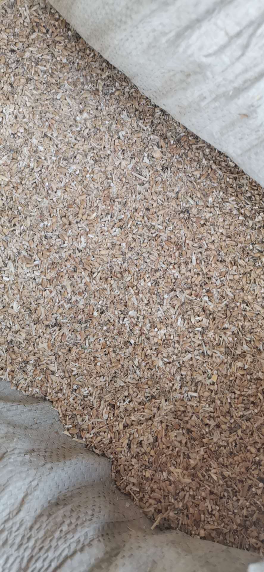  碎小麦下脚料。草籽卖下脚料