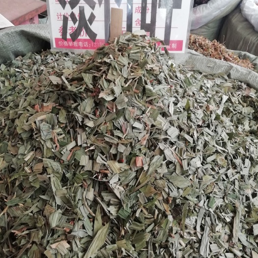  淡竹叶中药材 淡竹叶茶 今年新货 ，新鲜晒干 淡竹叶
