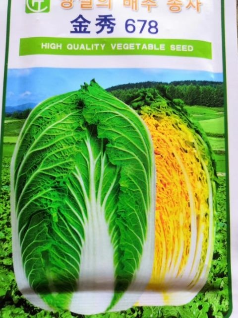 蒙城县 供应黄心大白菜种子，