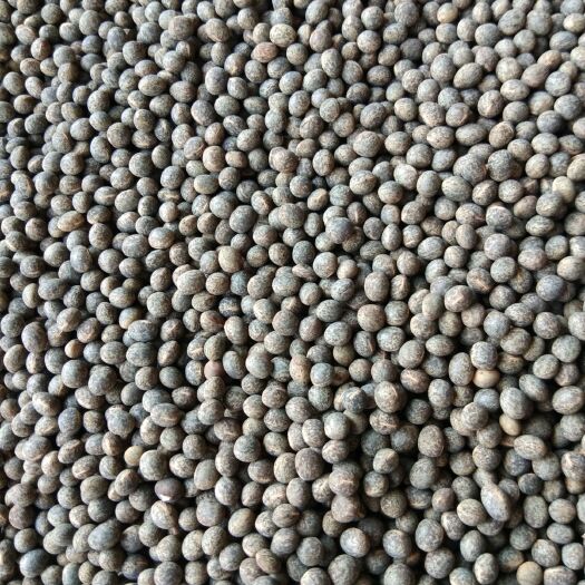 社旗县干豌豆  大量供，新黑豌豆，新高粱，大量上市，量大价格优惠，