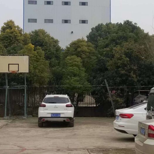 武汉龙虾饲料 厂家直供