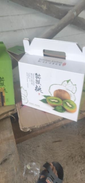 米良1号猕猴桃  绿心猕猴桃上市热销中刚采收进库供货到明年4
