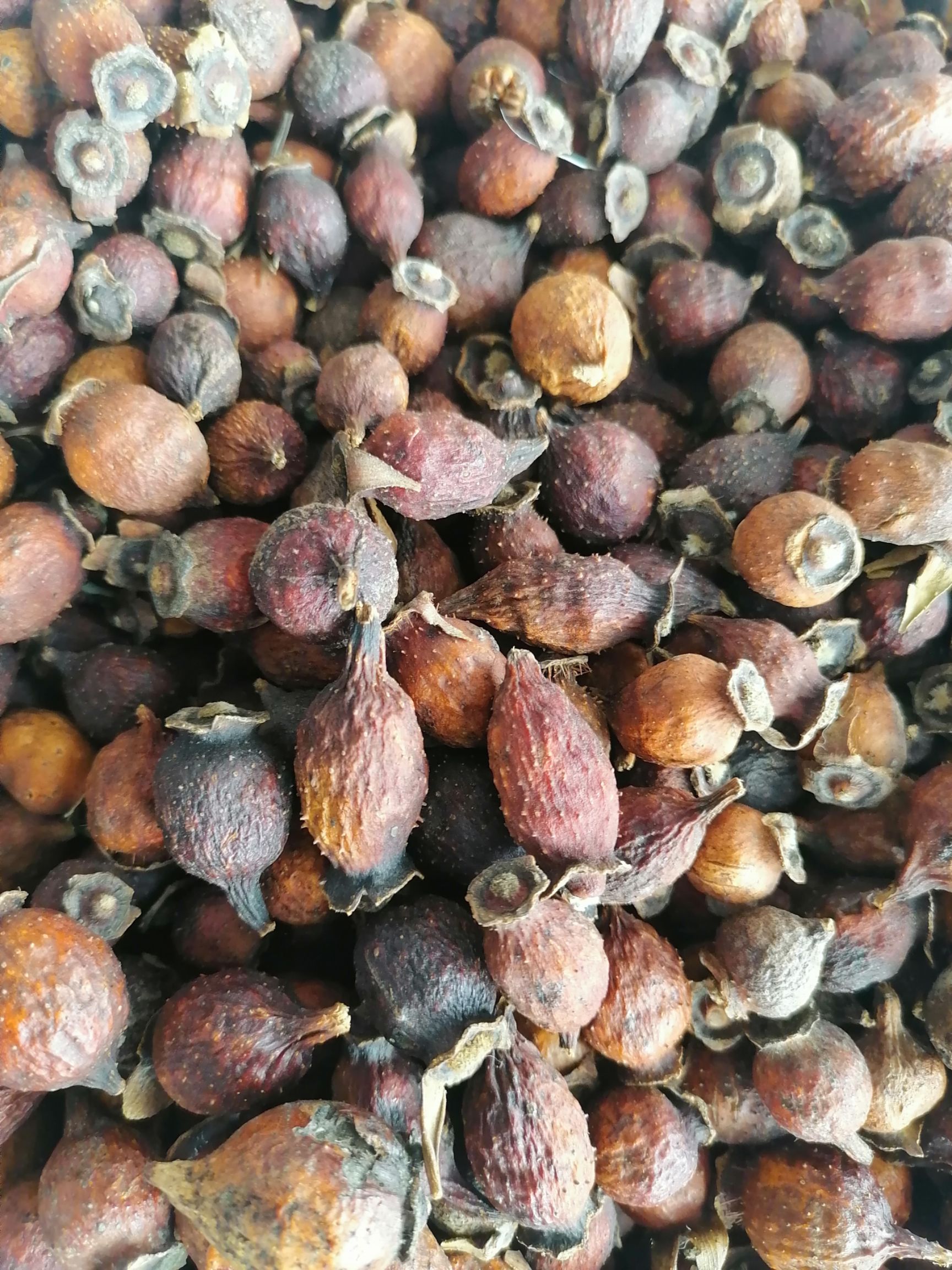 金樱子，干货，，