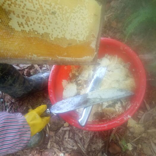 安福县 武功湖土蜂蜜