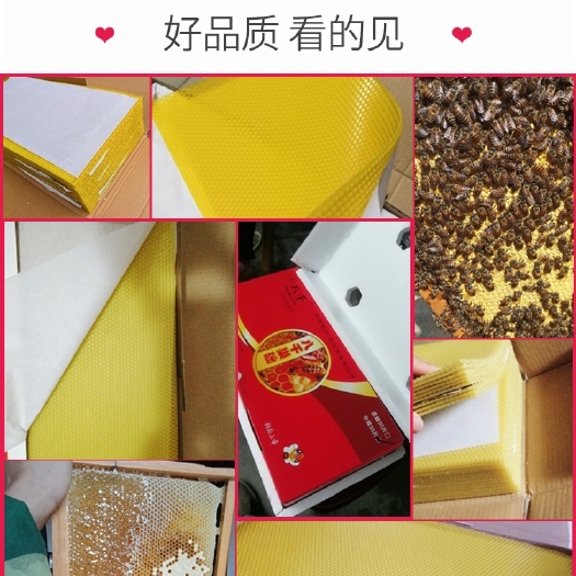 长葛市中蜂巢础 八千 蜜蜂巢础片蜂巢蜂蜡中峰巢深房巢皮巢基蜂巢础