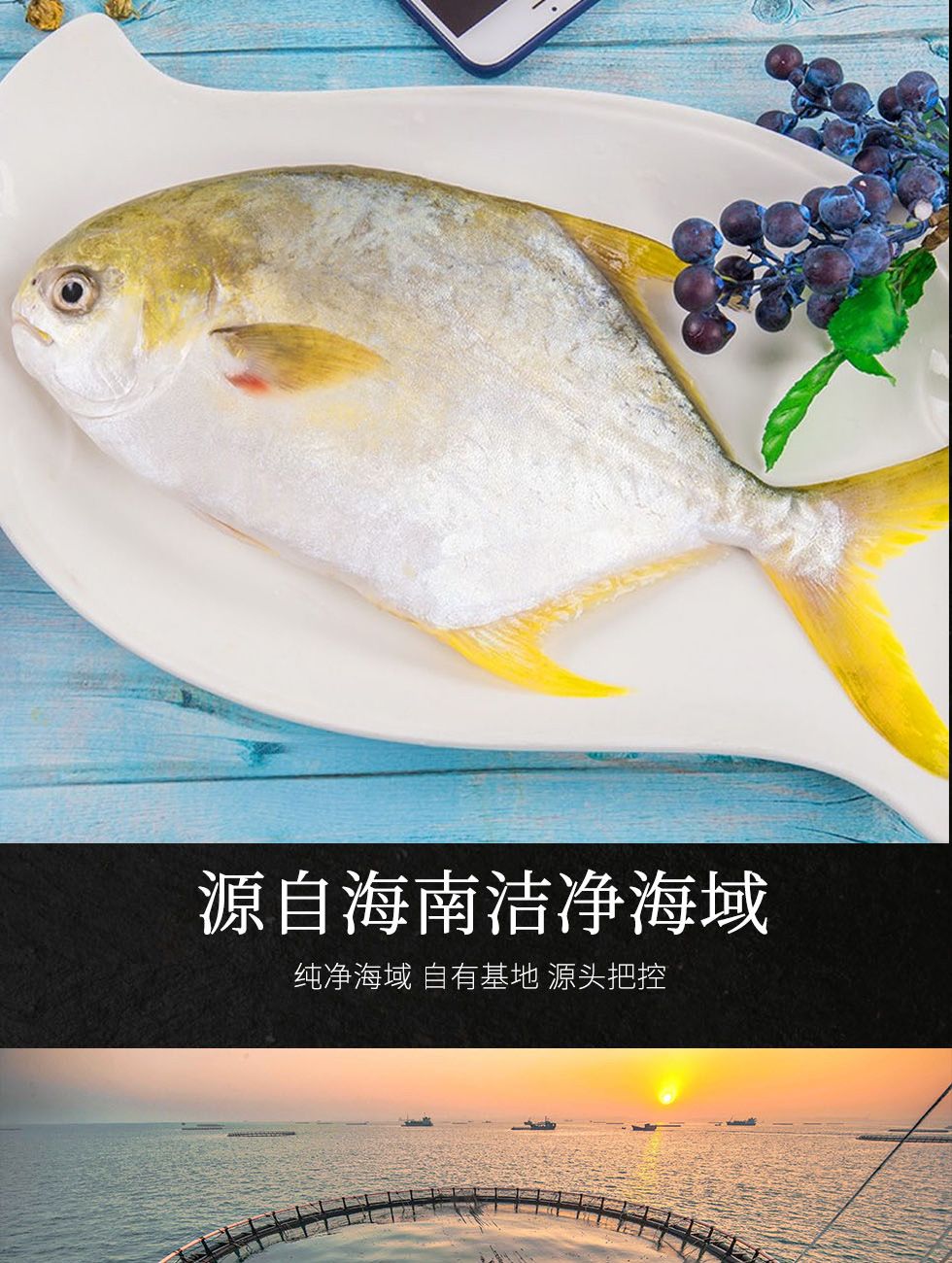  海南临高远洋牧场深海金鲳鱼无公害BAP认证10kg