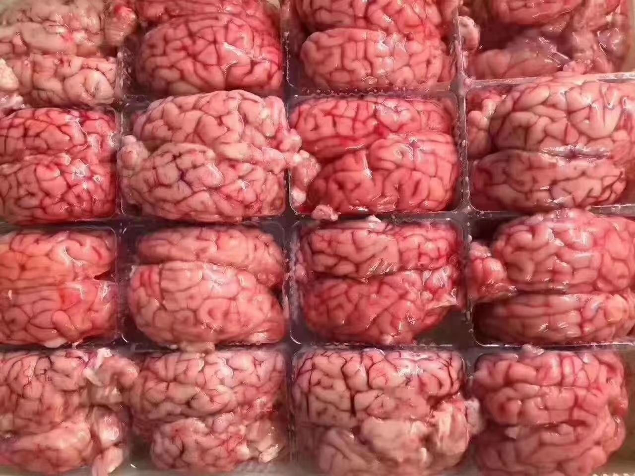 羊肚