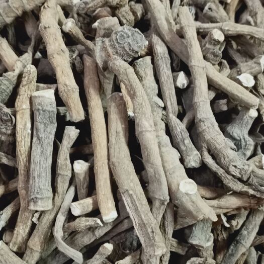 玉林塘边耦 三白草中药材天性草三百草塘边藕白花莲1000克
