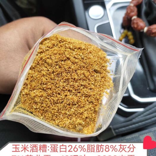 石家庄 玉米酒糟DDGS