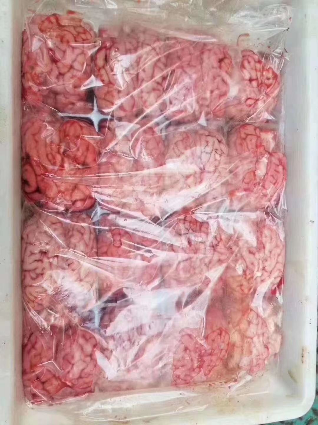 羊肚