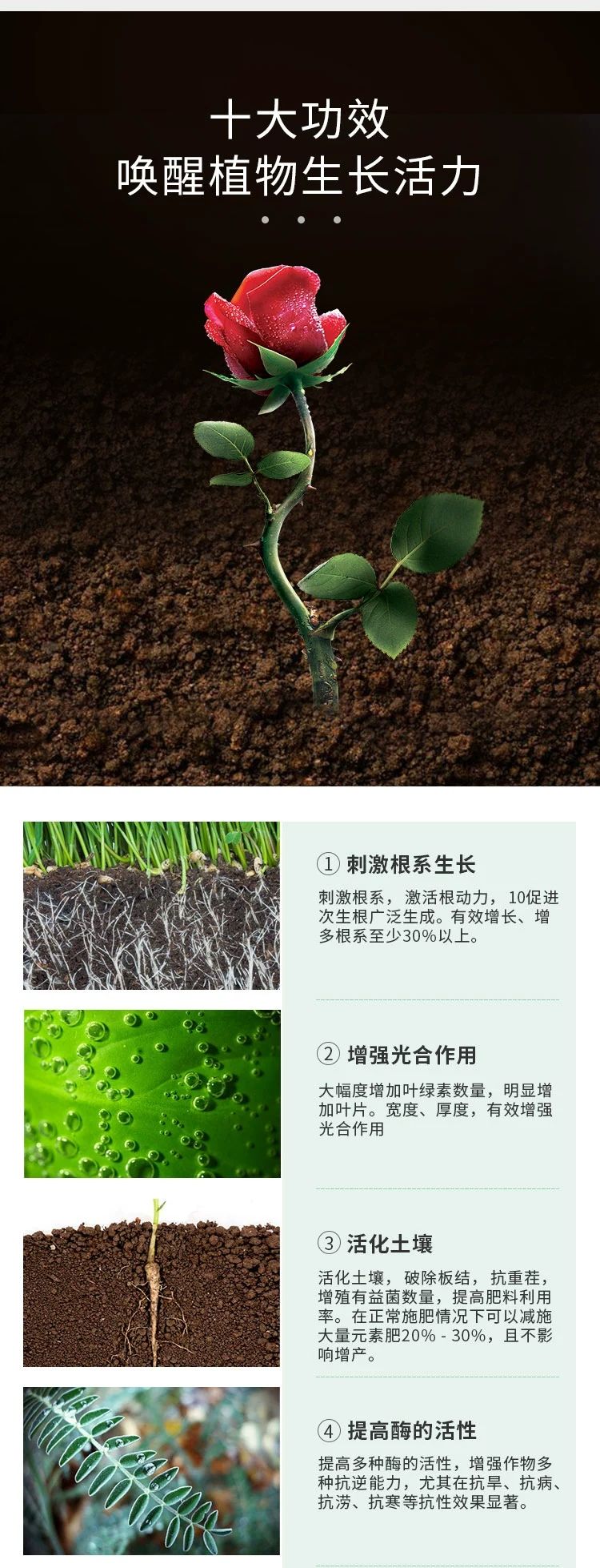 植物源黄腐酸钾