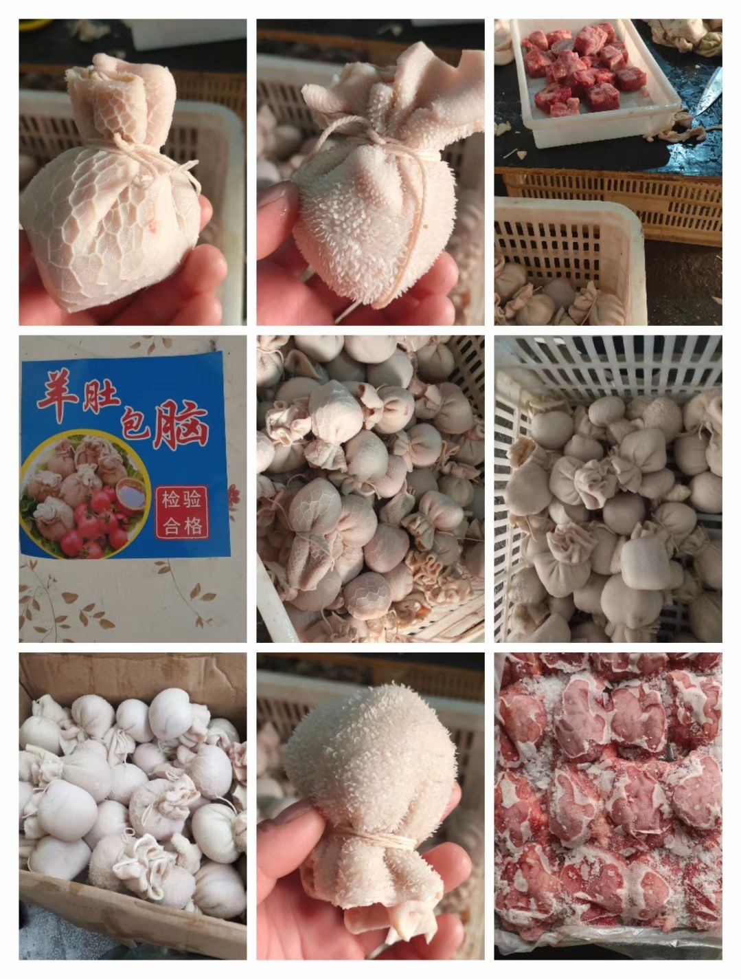 羊肚