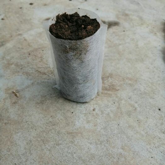 贵港 袋装营养肥料，有机基质肥料，牛粪发酵有机肥料，蚯蚓粪有机肥