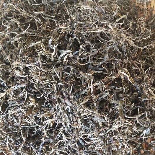 宁洱县晒青毛茶 实生苗晒青