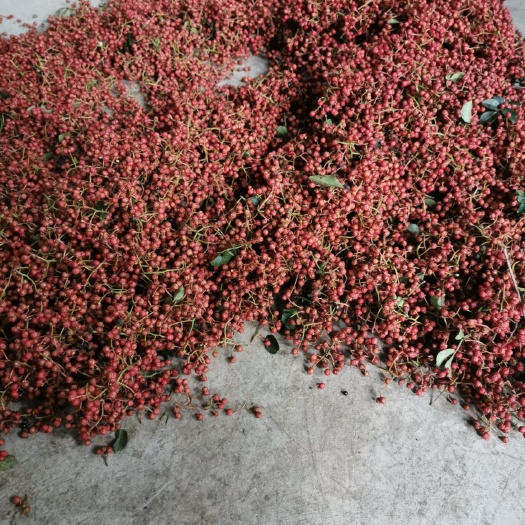 平顺县 自家花椒