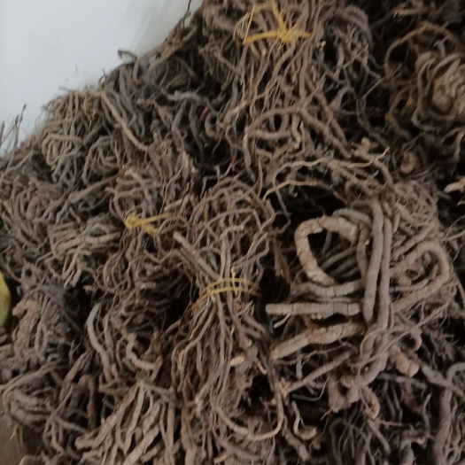从江县 贵州黑老虎野生货质量很好