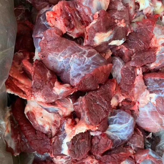 阳信县牛脖肉  牛肉块
