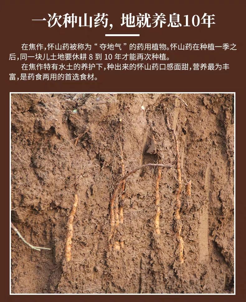 中药材山药  铁棍 无硫 天然晾晒铁棍山药营养良好，价值