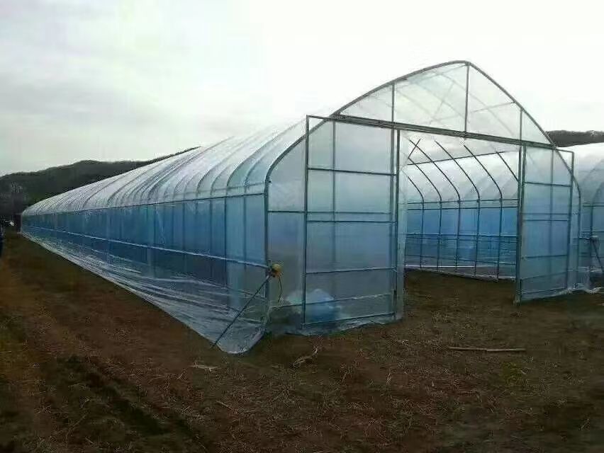种植大棚