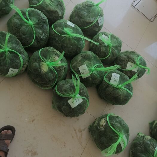 淮安 精品洪泽湖大闸蟹批发