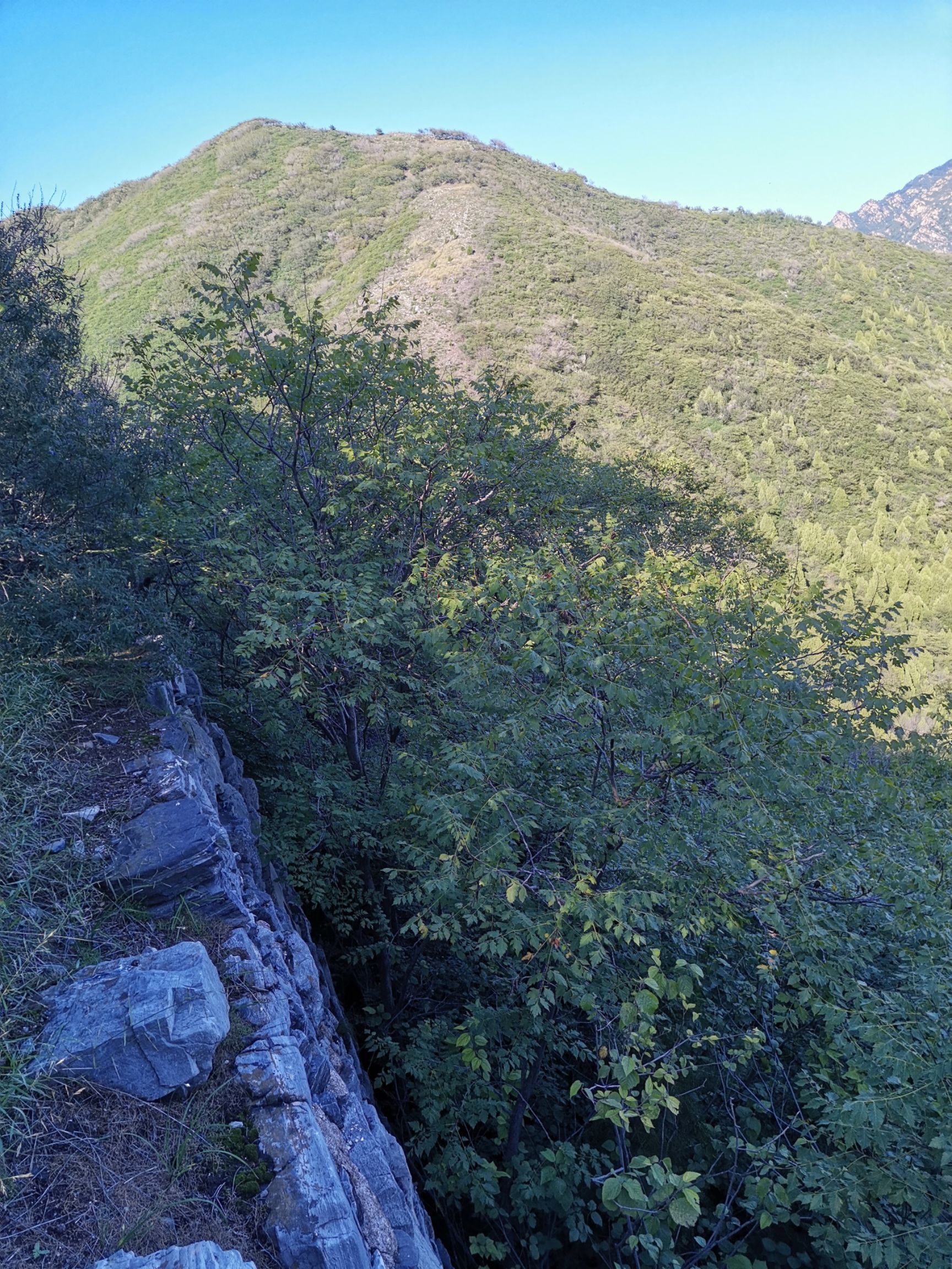 山地  天津蓟州生态山庄