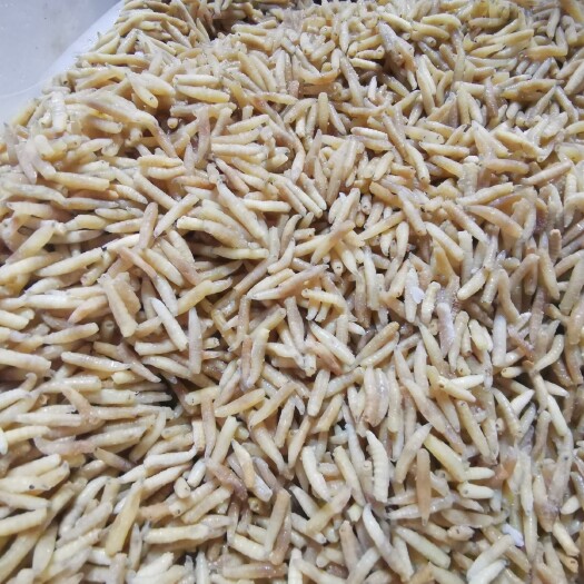 无菌蝇蛆熟化虾蟹鱼水产活体饲料厂价批发常年供应包邮